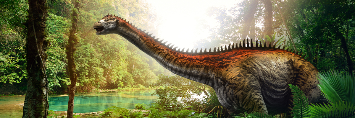 January 2023 – Diplodocus
