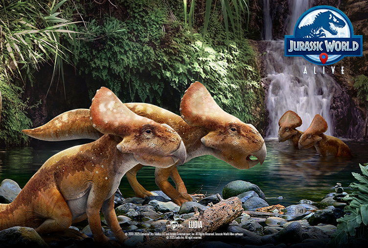 Protoceratops – 3.12